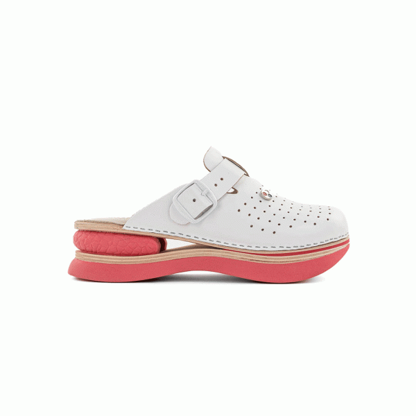 BIANCOMOLINA KLOMPE ALPINA A01 LEPTIR